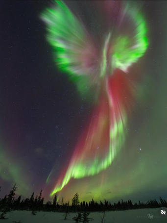 Angel In The Northern Lights