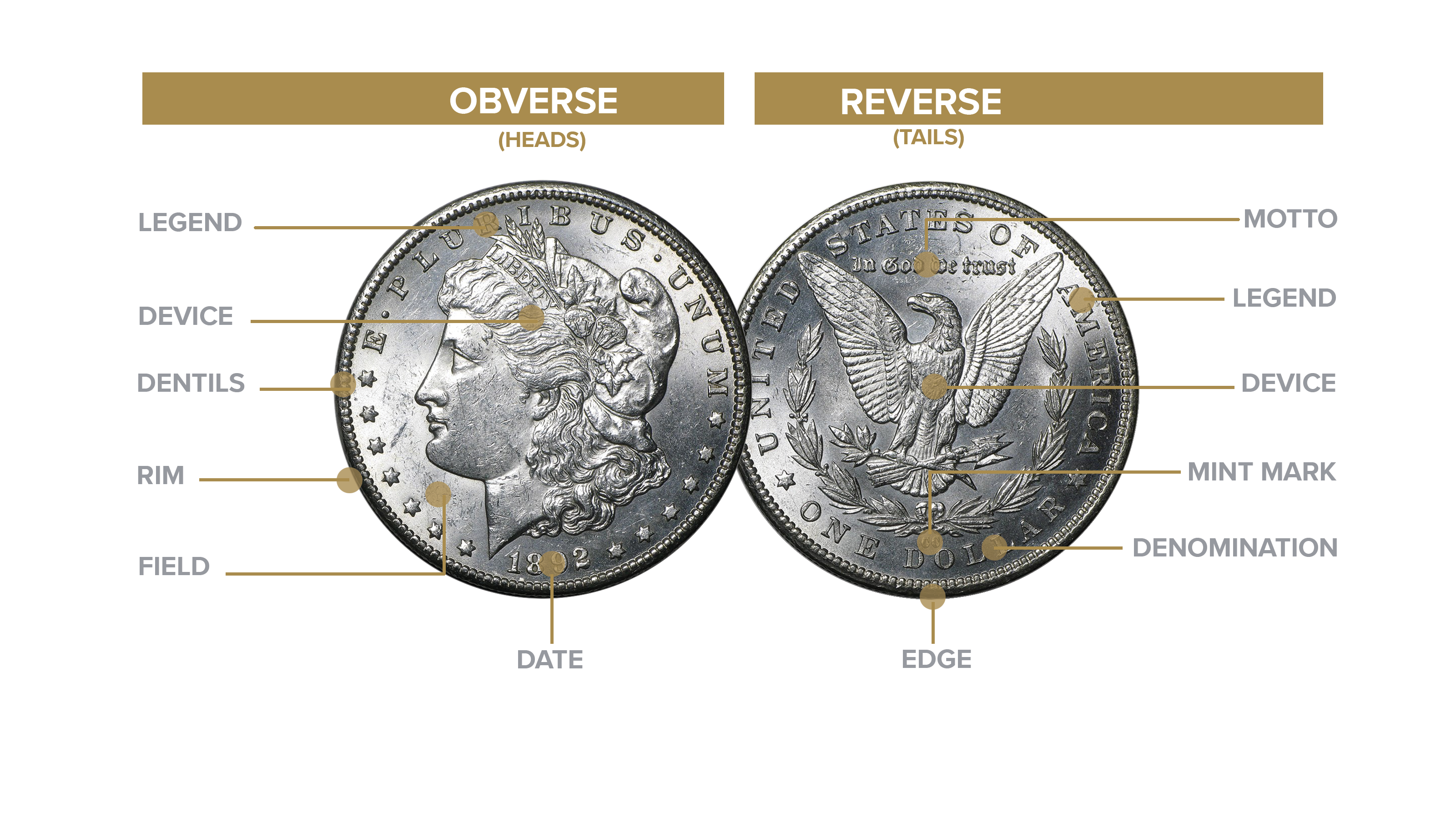 ANATOMY OF A COIN