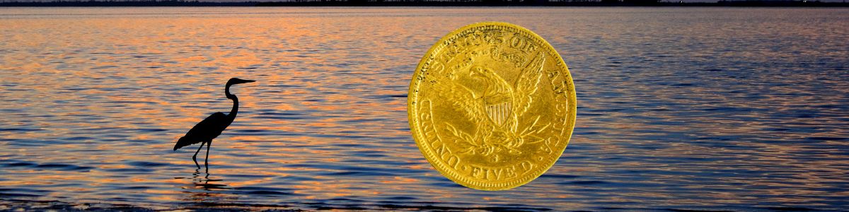 Florida’s Bold Move: Gold and Silver Coins as Legal Tender