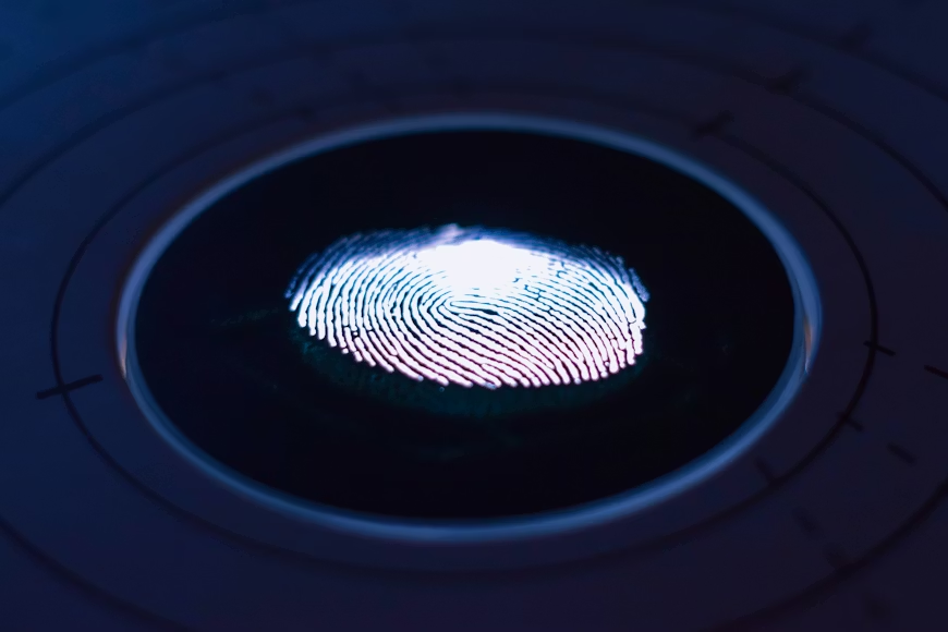 Biometric access system