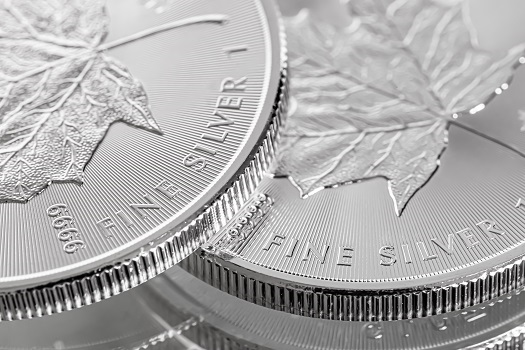 Which Coins Are Composed of Platinum?