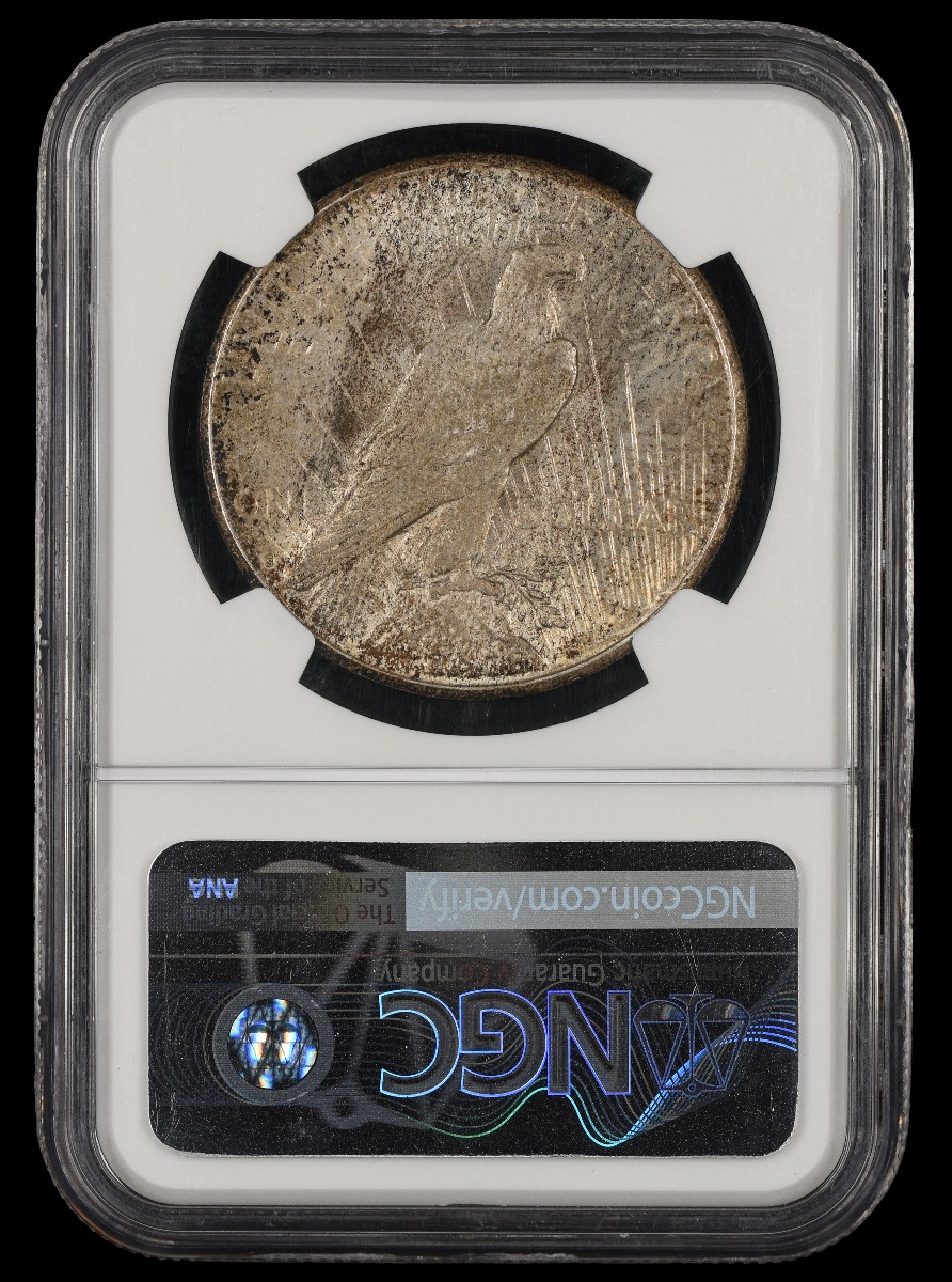 1924 S $1 NGC MS62 62
