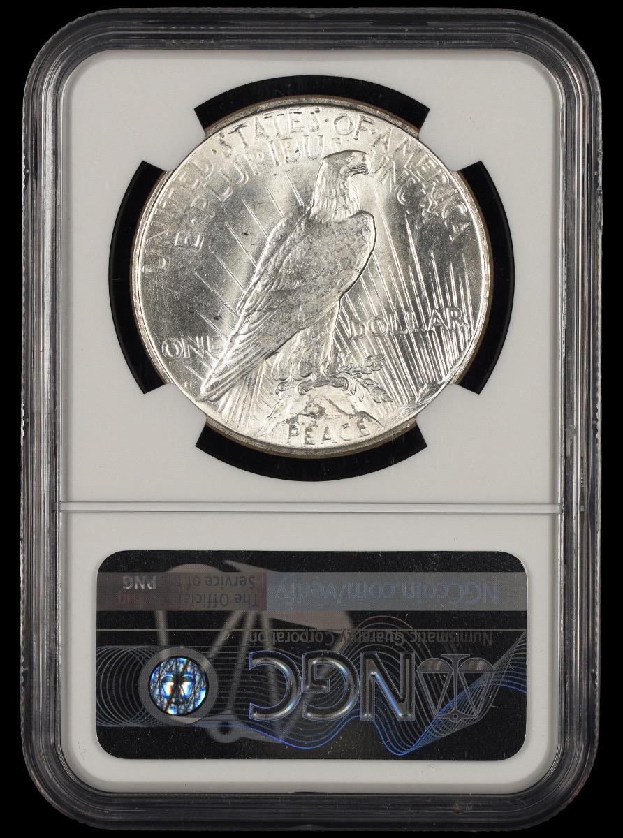1923 D $1 NGC MS62 MS62