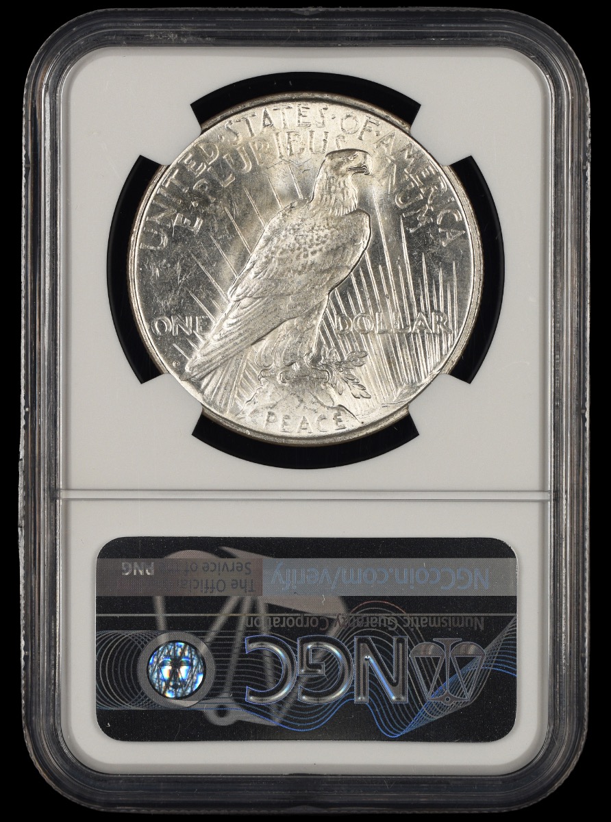 1923 D $1 NGC MS62 MS62