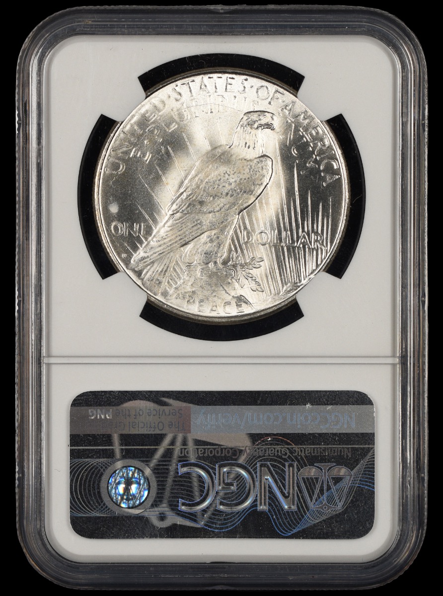 1923 D $1 NGC MS62 MS62