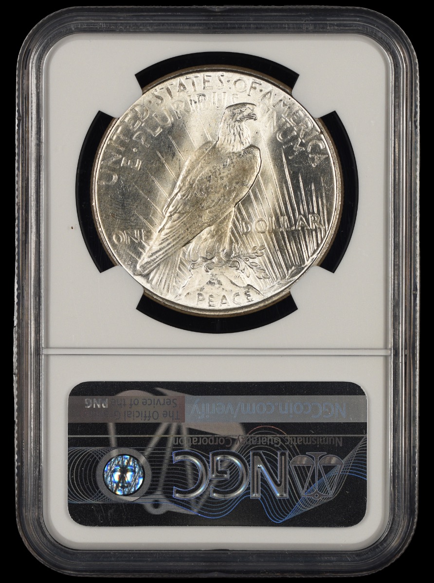 1923 D $1 NGC MS62 MS62