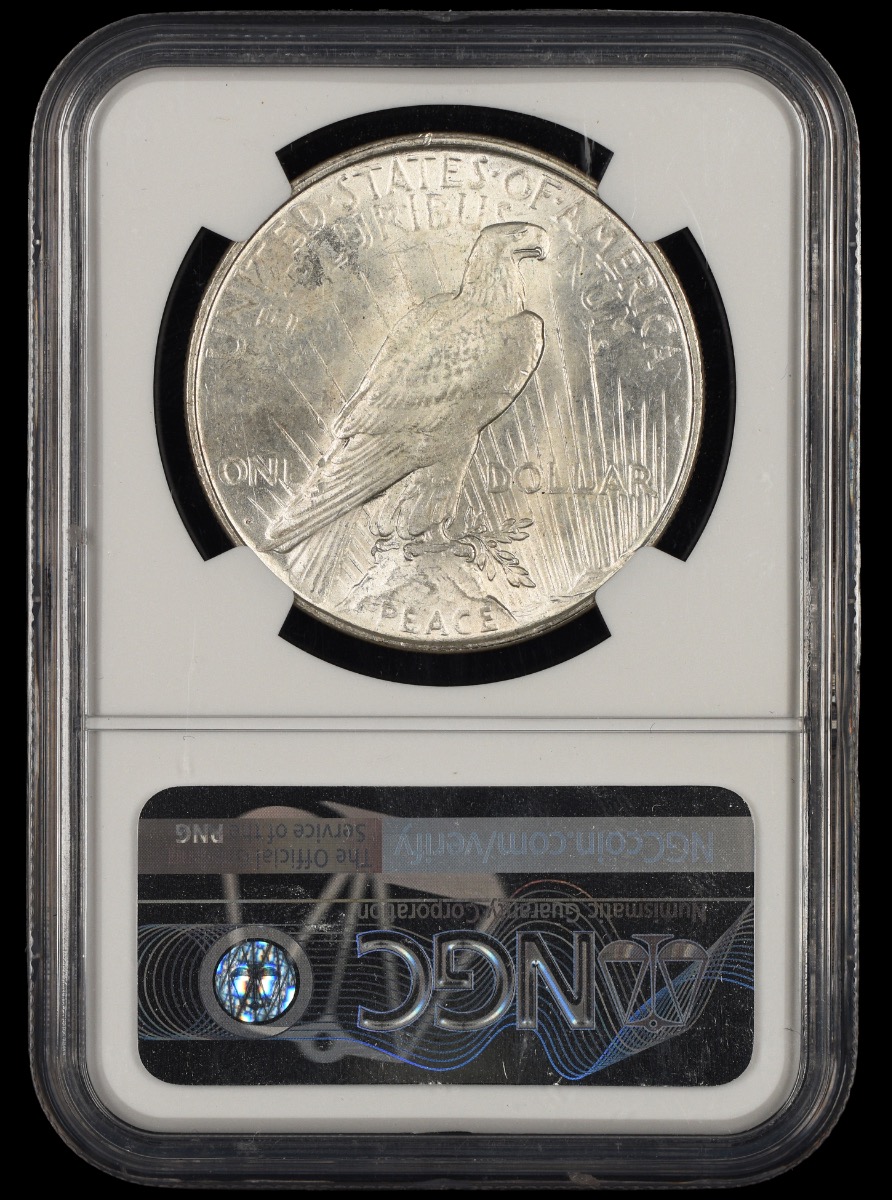 1923 D $1 NGC MS62 MS62