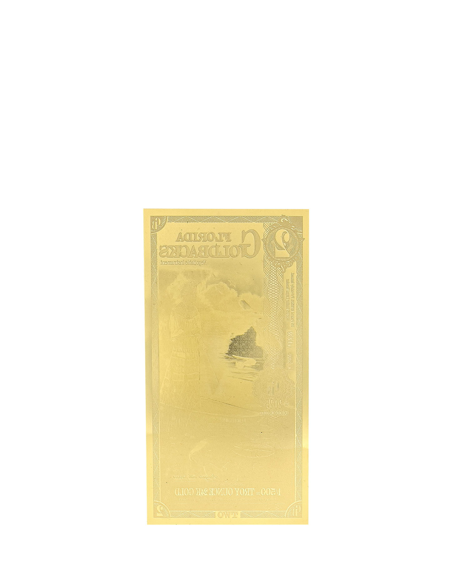Florida 2 Goldback  other side