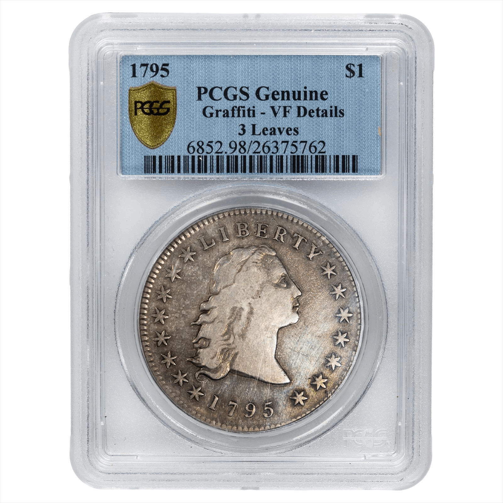 1795 Flowing Hair Dollar $1 3 Leaves PCGS Genuine VF Details