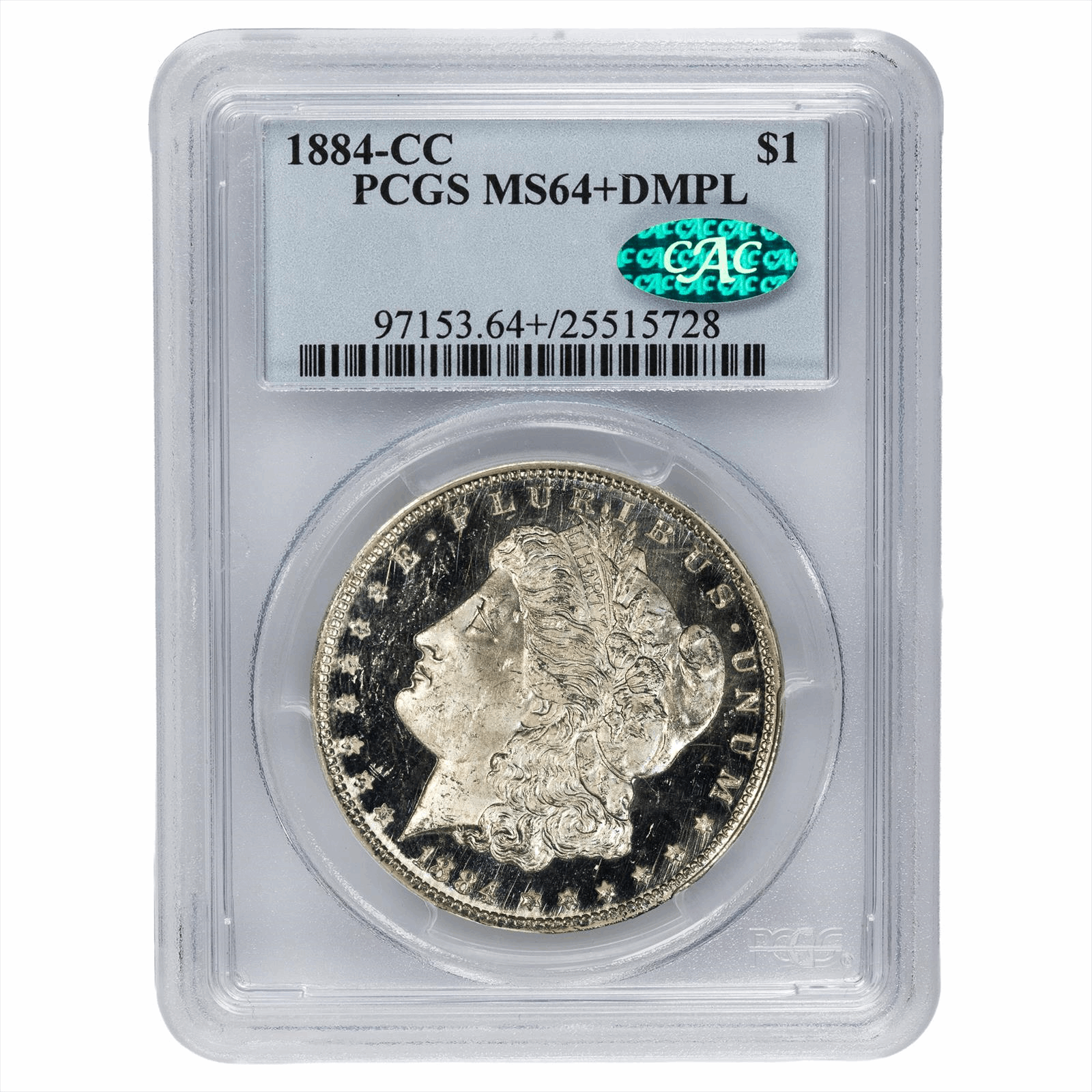 アップグレードされた流星群のレインライト 80cm 10 本 720 球 結婚式のクリスマスガーデンツリーの家の装飾のためのカスケー 305アメリカ  銀貨 モルガンダラー 1ドル 大型 外国コイン 硬貨 古銭 19世紀の未流通モルガン銀貨15枚セット #305 305アメリカ 銀貨 モルガン ...