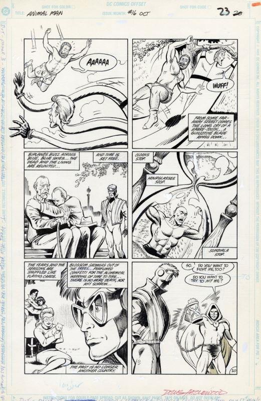 Animal Man #16, Page 23 Artist:  Chas Troug (Penciller) ,  Doug Hazelwood (Inker) Media Type: Pen and Ink Art Type: Interior Page 