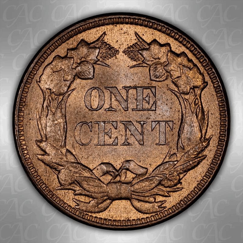 1857 Flying Eagle 1c CACG MS 65