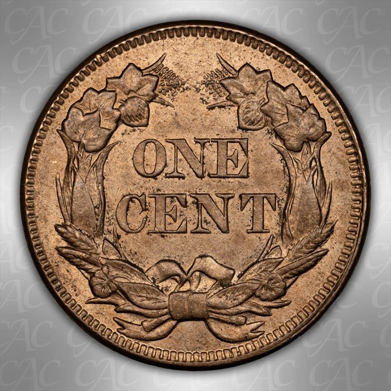 1857 Flying Eagle 1c CACG MS 64