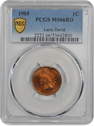 1905 Indian Head PCGS RD 66