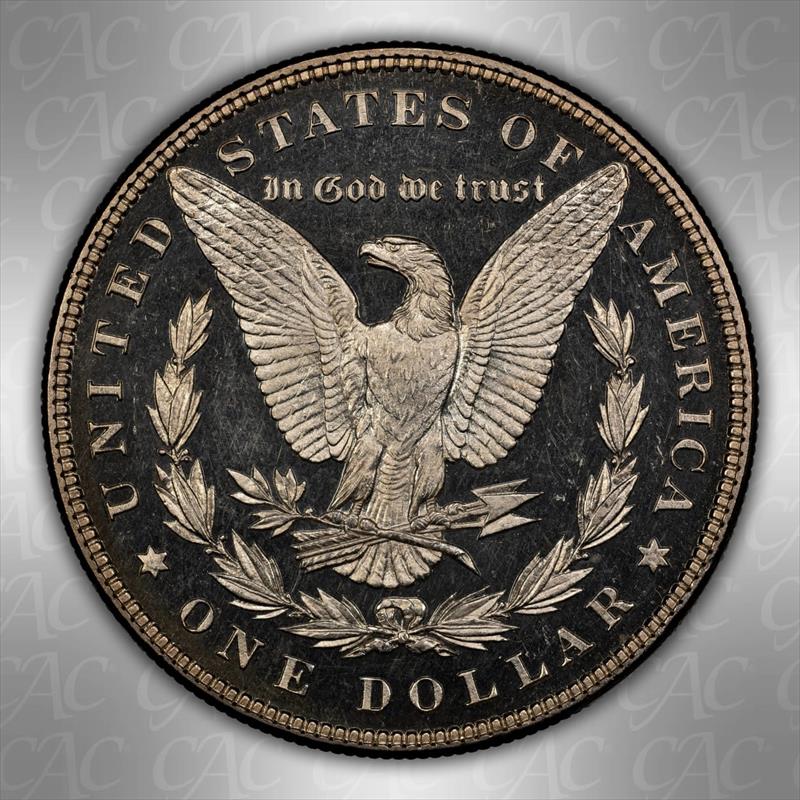 1884 $1 CACG PF 64  CAM