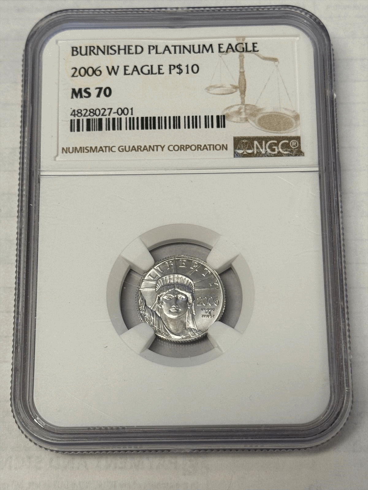 2006-w-10-burnished-platinum-eagle-ngc-ms-70