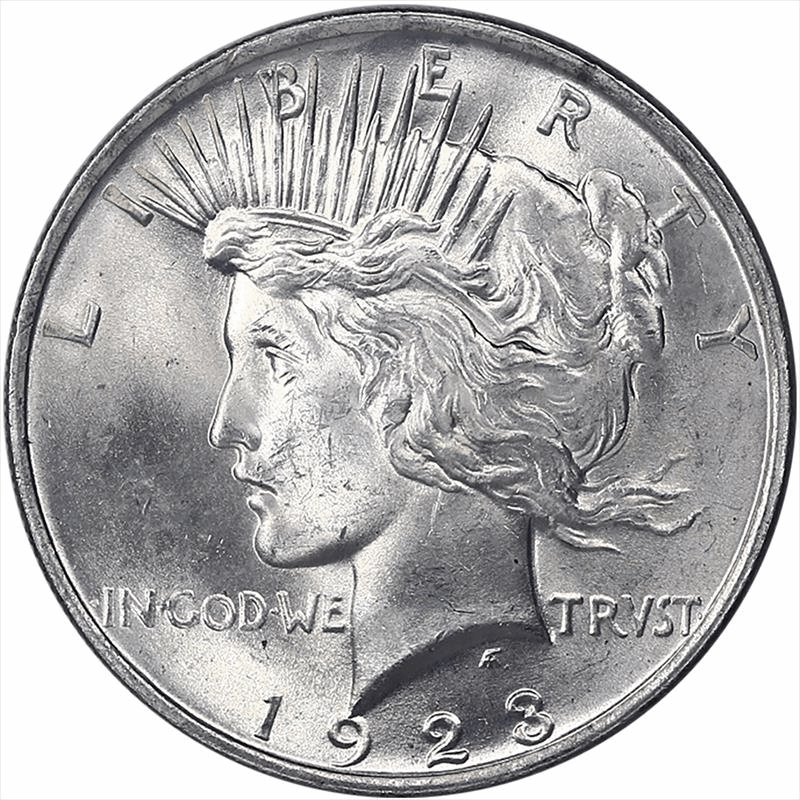 1923 Silver Dollar, Raw Choice Uncirculated - Nice White Coin