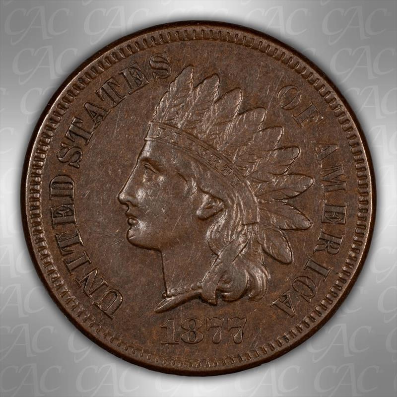 1877 1C CACG AU 55 BN