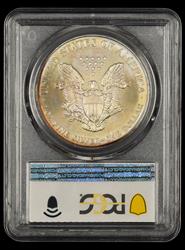 1996 American Silver Eagle $1 Attractively Toned PCGS MS66 MS66
