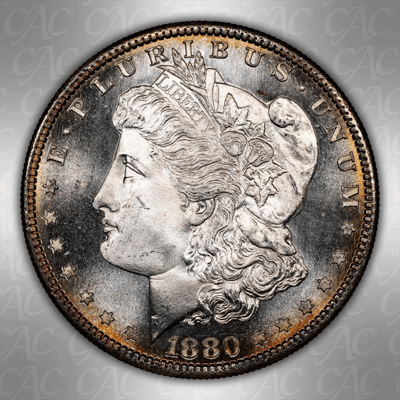 1880-S $1 CACG MS 67