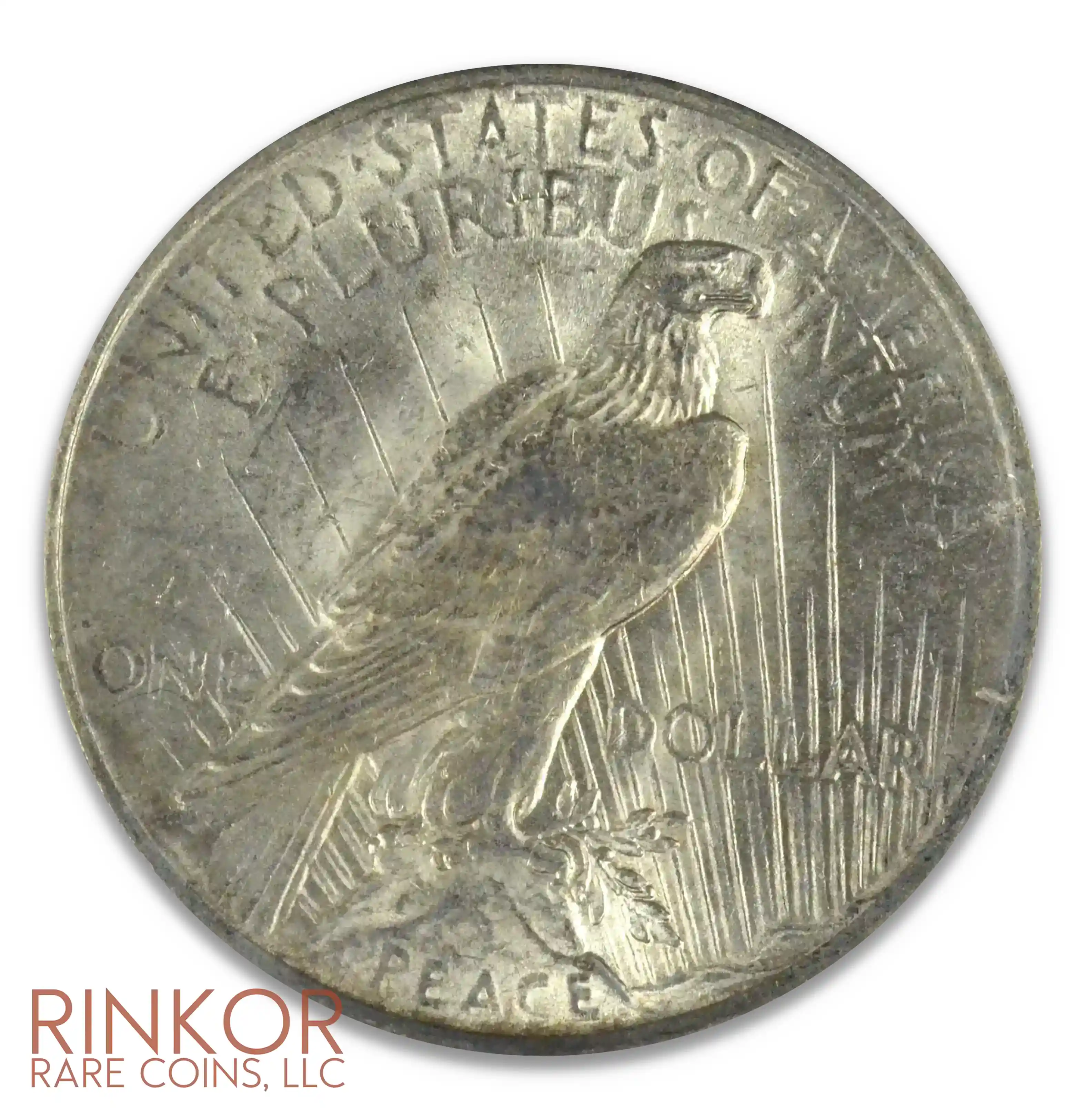 1922-1935 Peace Silver Dollar Average Circulated