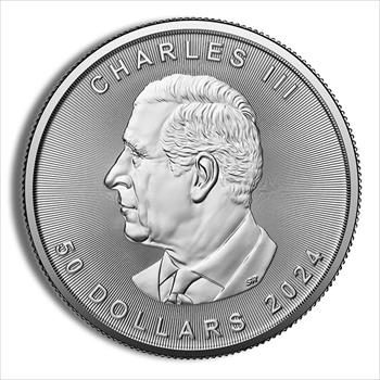 2024 Platinum Maple Leaf - 1 oz image 2