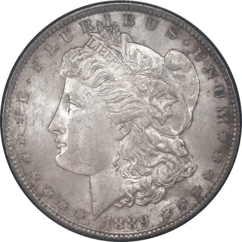 1889 Morgan Silver Dollar $1 Raw Ungraded Coin Uncirculated