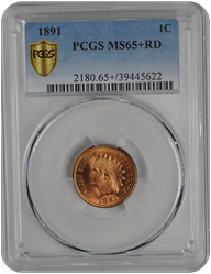 1891 Indian Head PCGS RD 65+