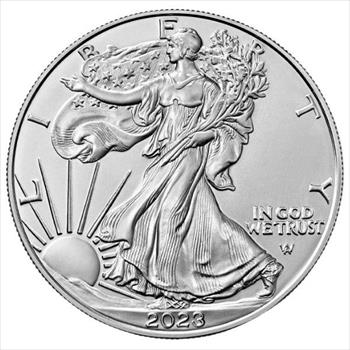 2024 1 OZ American Silver Eagle TEST 