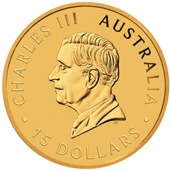 2025 1/10 OZ AUSTRALIAN GOLD KANGAROO 