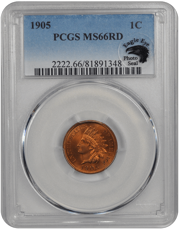 1905 Indian Head PCGS RD 66