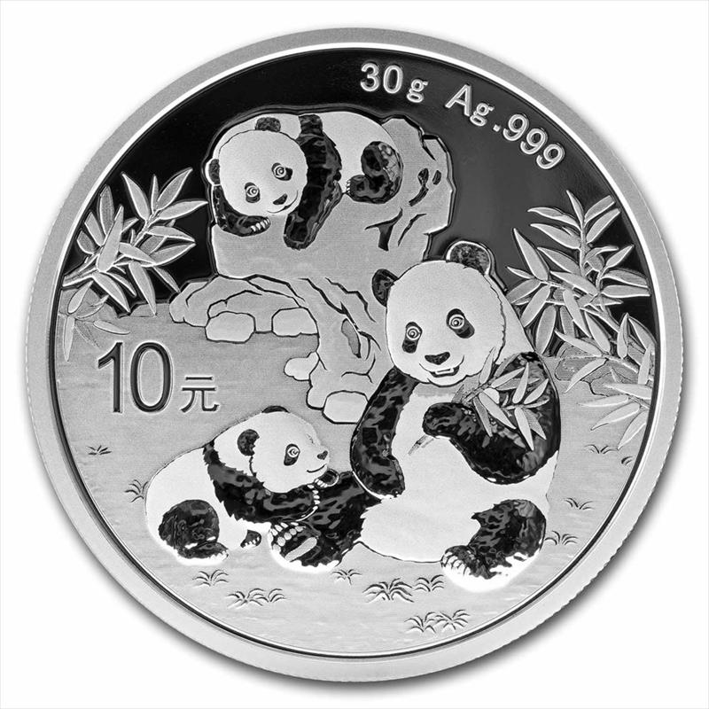 2025 10 Yaun 30 Gram Chinese Silver Panda, BU