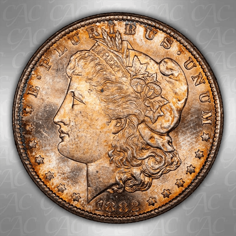 1882-CC $1 CACG MS 64 PL