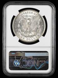 1921 D $1 NGC  MS63