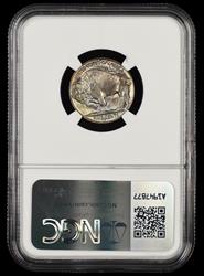 1938 D Buffalo Nickel Bag Fragment NGC MS65