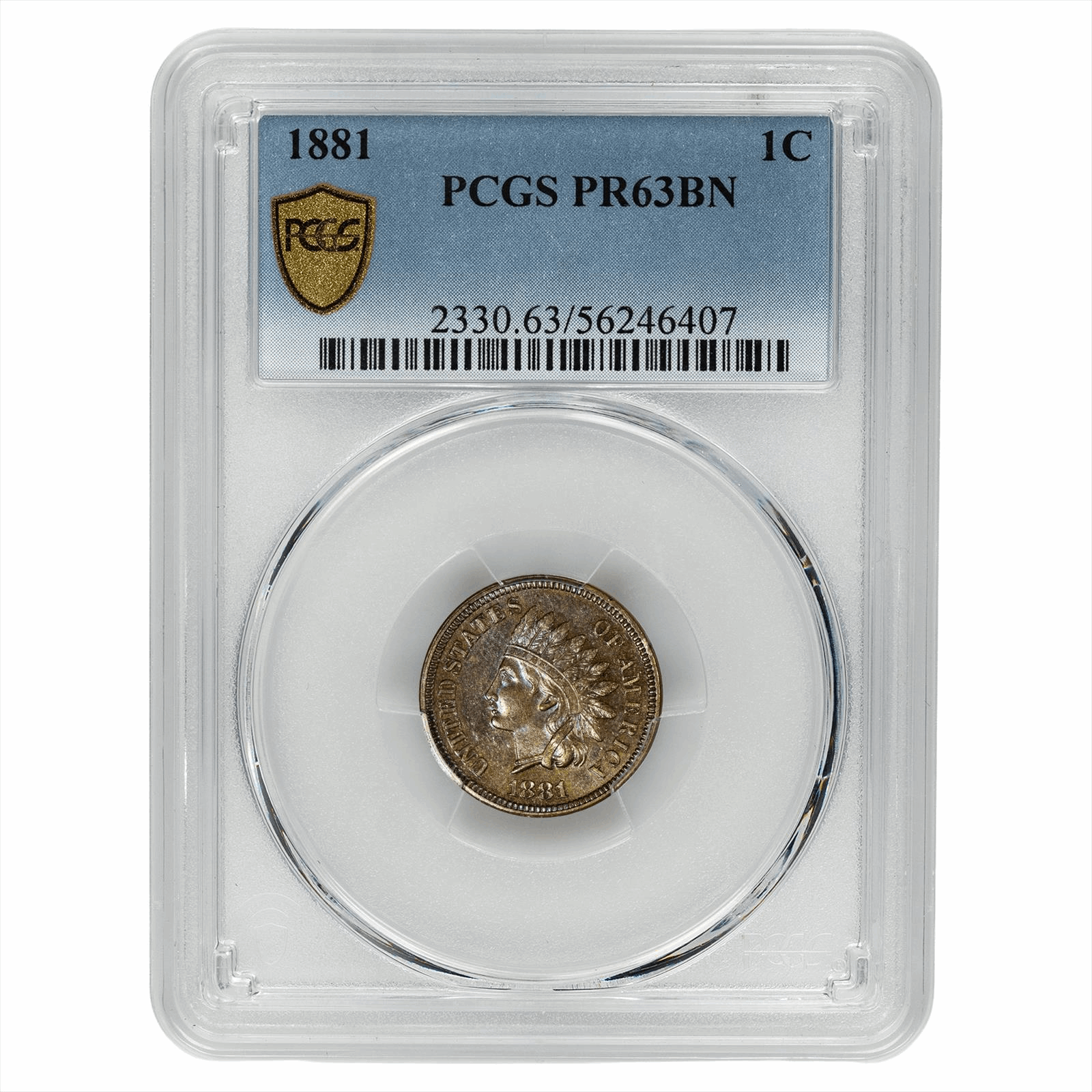 1881 Indian Head Cent 1C PCGS PR 63 BN