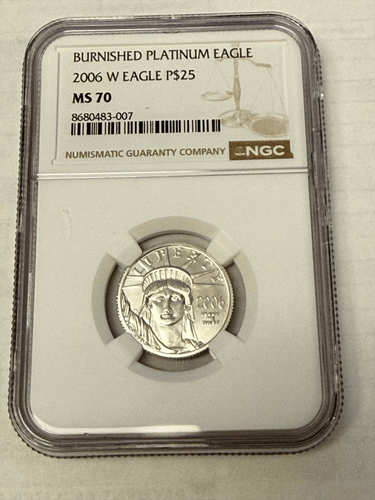 2006-w-25-burnished-platinum-eagle-ngc-ms-70