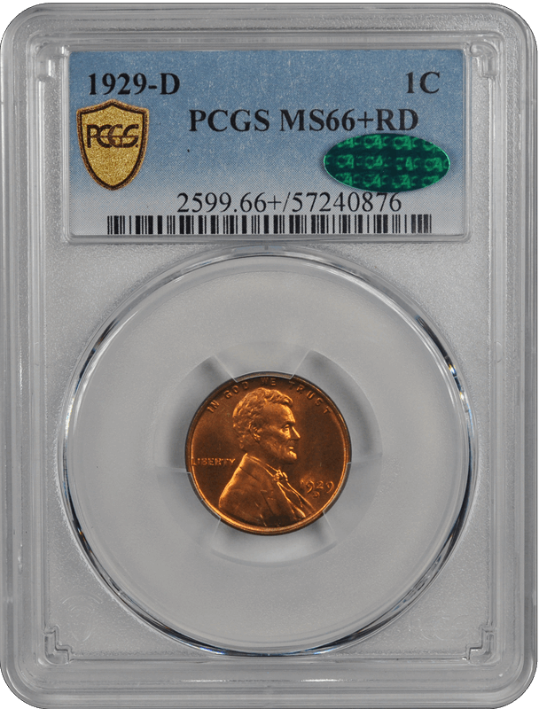 1929-D Lincoln Wheat PCGS CAC RD 66+