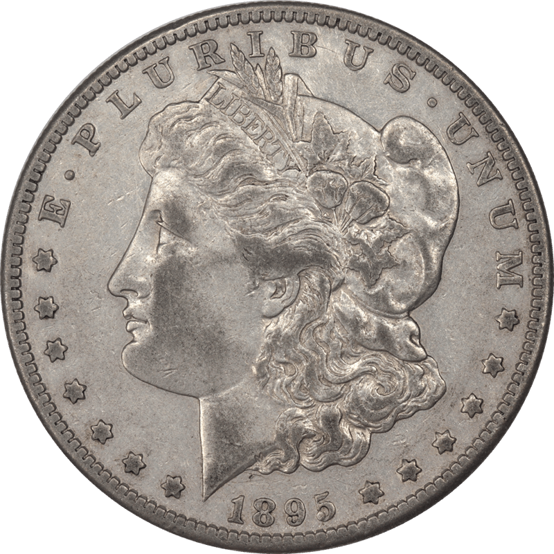 1895-S Morgan Silver Dollar Raw, Circulated, Choice Extra Fine - White Coin