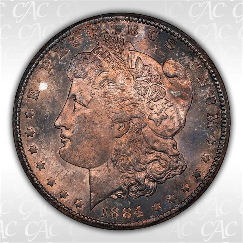 1884-CC $1 CACG MS65 