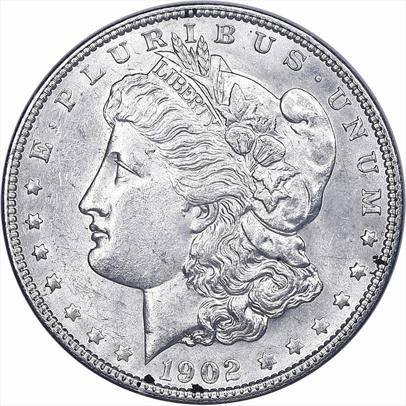 1902 Morgan Silver Dollar, $1 Circulated Almost Uncirculated 