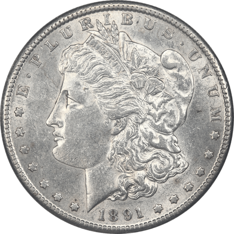 1891-S Morgan Silver Dollar $1 Raw Ungraded Coin 