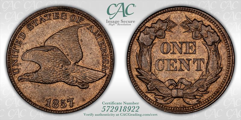 1857 1C Obv Die Clash with 50C FS-402 S-9 (003) CACG MS63 