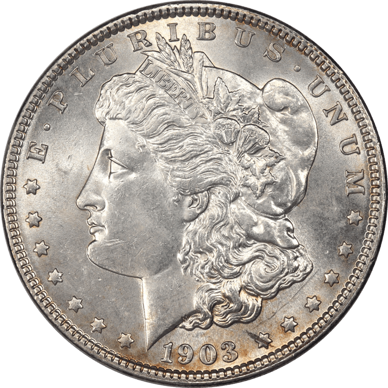 1903 Morgan Silver Dollar, Raw  Uncirculated - Lightly Toned Reverse 