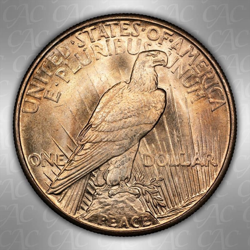 1921 S$1 CACG MS 64 