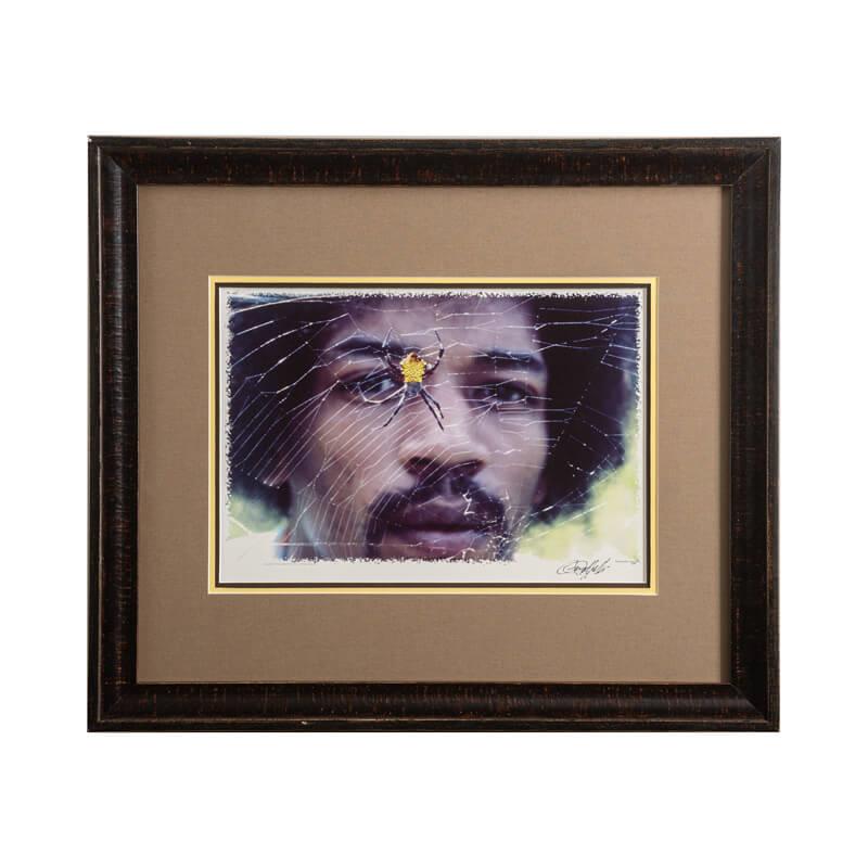Jimmy Hendrix Photograph with Spider Web (Color) by Ron Rafaela 