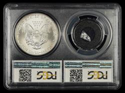 2006 $1 Eagle Mint Error Struck Through Plastic Obv Two Piece Set PCGS MS67