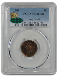 1901 Indian Head PCGS CAC RB 66