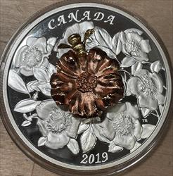 2019 Canada 5 oz Silver Bumblebee  