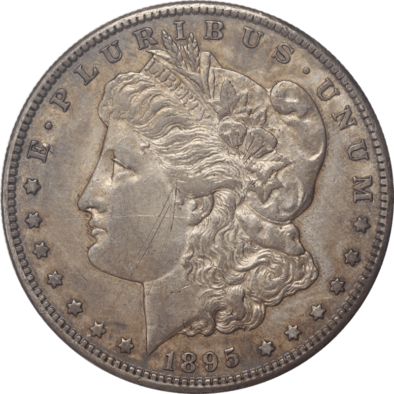 1895-S Morgan Silver Dollar $1, Circulated, Extra Fine - Nice and Original